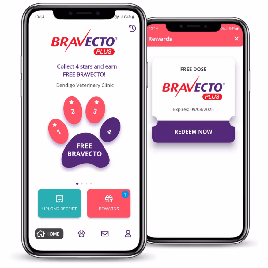 Customized loyalty app for pet brands